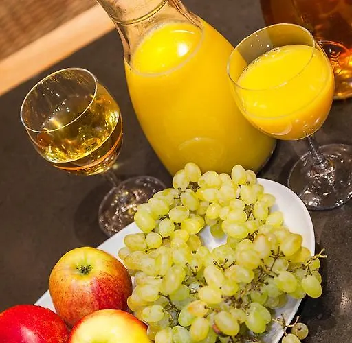 아비브 호텔 드레스덴