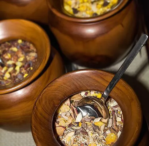 호텔 아비브 드레스덴